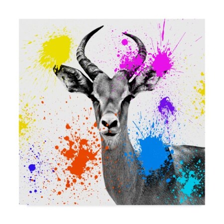 Trademark Fine Art